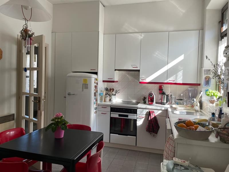 Beautiful and spacious house 5.5 with garden and double garage (10)