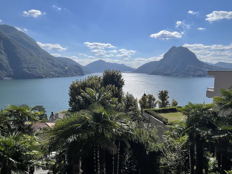 SPETTACOLARE DUPLEX 5.5 AVEC VUE LAC MAGNIFIQUE (1)