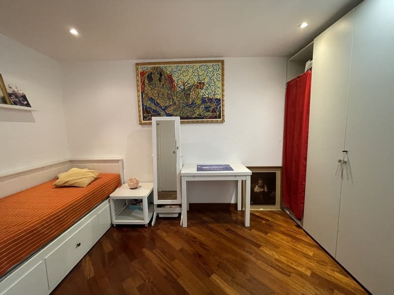 Geräumige 2.5-Zimmer-Wohnung mit Seeblick und externer Parkmöglichkeit (9)