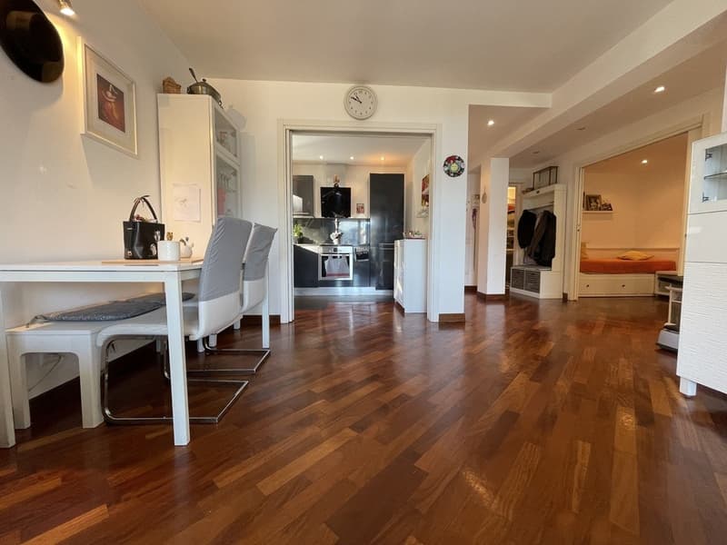 Geräumige 2.5-Zimmer-Wohnung mit Seeblick und externer Parkmöglichkeit (1)