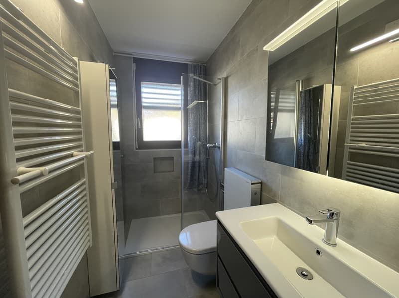 Appartement spacieux 2.5 pièces avec jardin rénové (6)