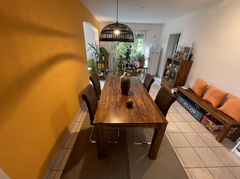 Appartement 4.5 intéressant avec piscine à Comano (8)