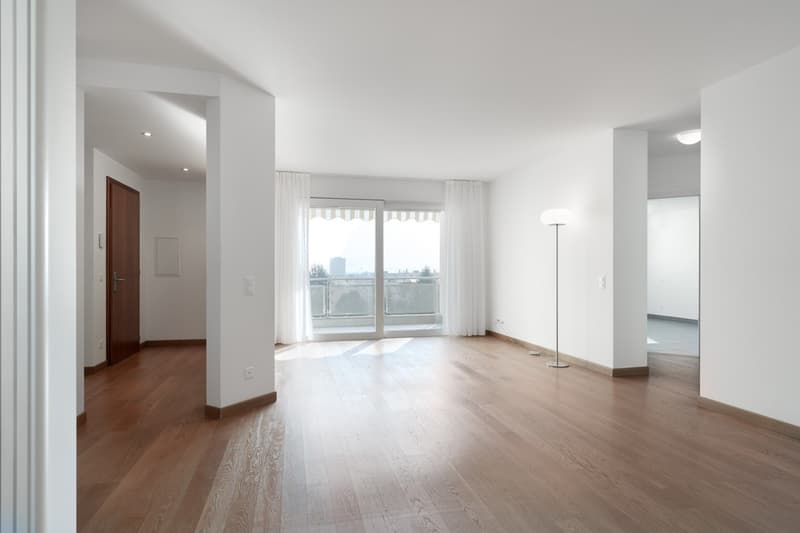 HELLES UND GERAUMIGES 3.5-ZIMMER-WOHNUNG IN STADT (3)