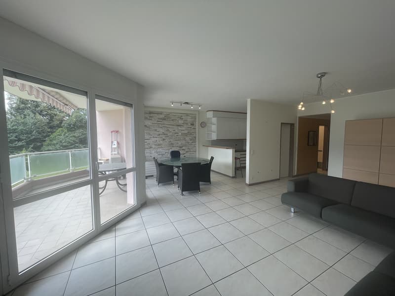 APPARTAMENTO 4.5 CON SPLENDIDA VISTA CITTA' E PARZIALE LAGO (4)