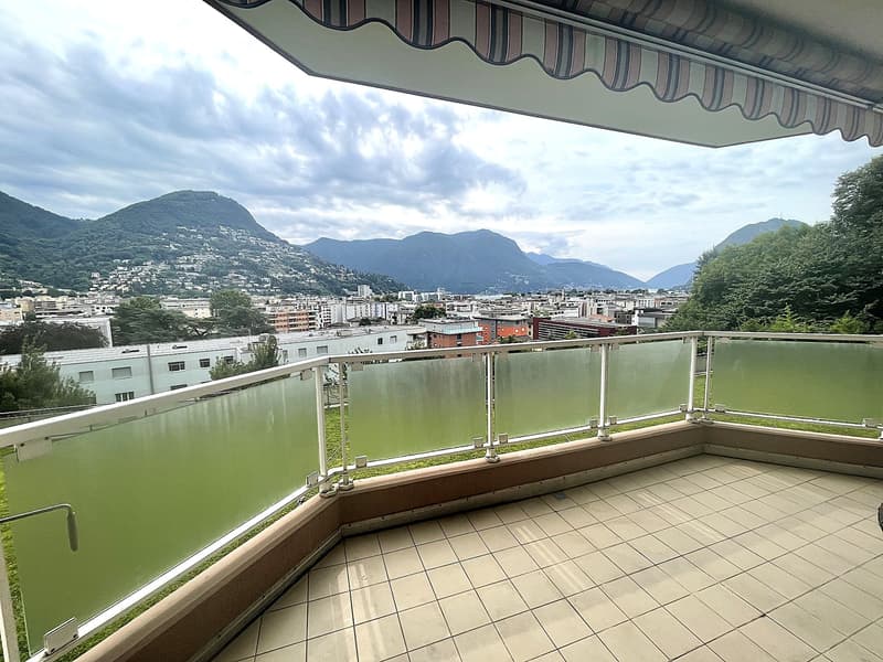 APPARTAMENTO 4.5 CON SPLENDIDA VISTA CITTA' E PARZIALE LAGO (3)