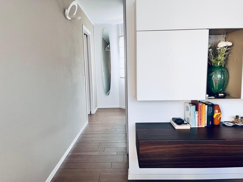 ELEGANTE ED AMPIO APPARTAMENTO 2.5 CON GRANDE POSTEGGIO (8)