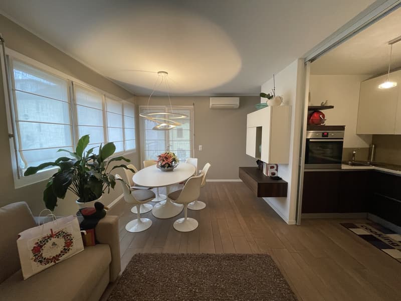 ELEGANTE ED AMPIO APPARTAMENTO 2.5 CON GRANDE POSTEGGIO (1)