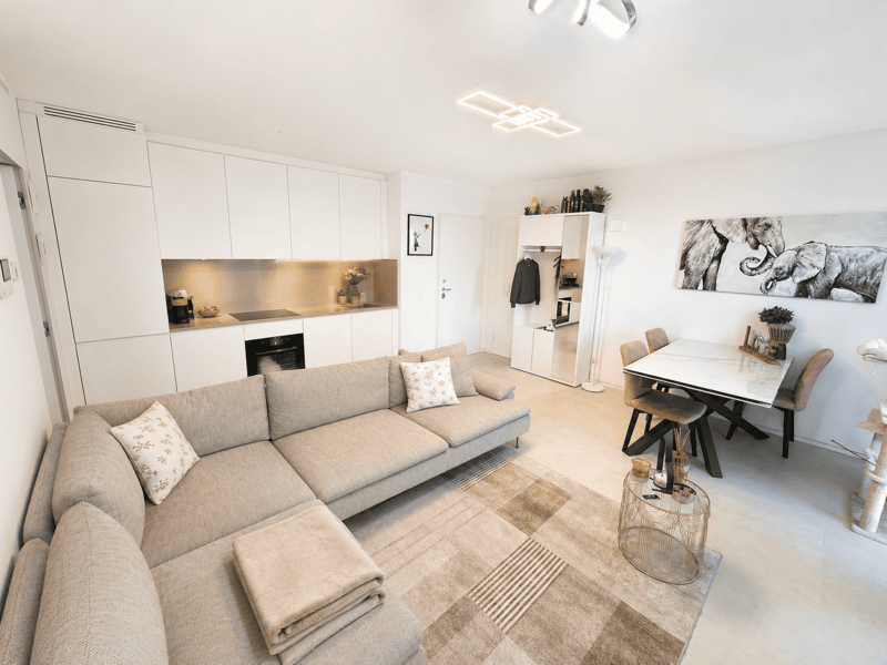 APPARTAMENTO 2.5 IN RECENTE RESIDENZA CON PISCINA (4)