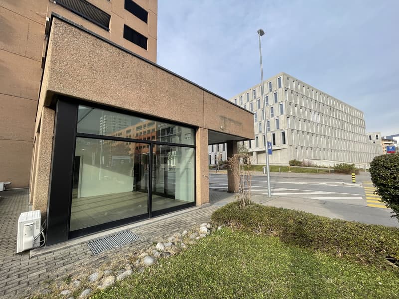 AMPIO COMMERCIALE CON VETRINE IN ZONA DI FORTE PASSAGGIO (10)