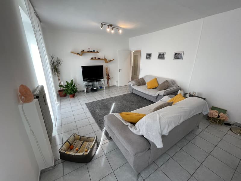 INTERESSANTE CASA 6.5 LOCALI CON GIARDINETTO (12)