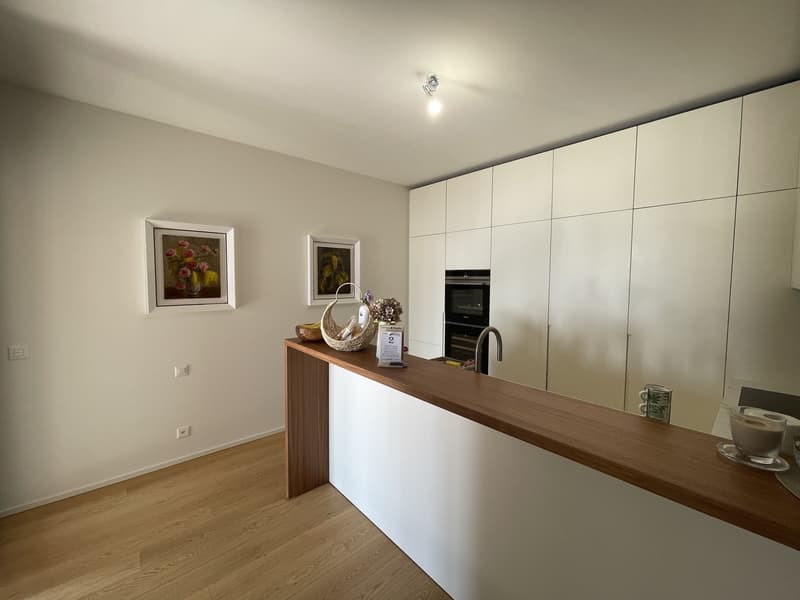 SPETTACOLARE DUPLEX 5.5 CON  MAGNIFICA VISTA LAGO (7)