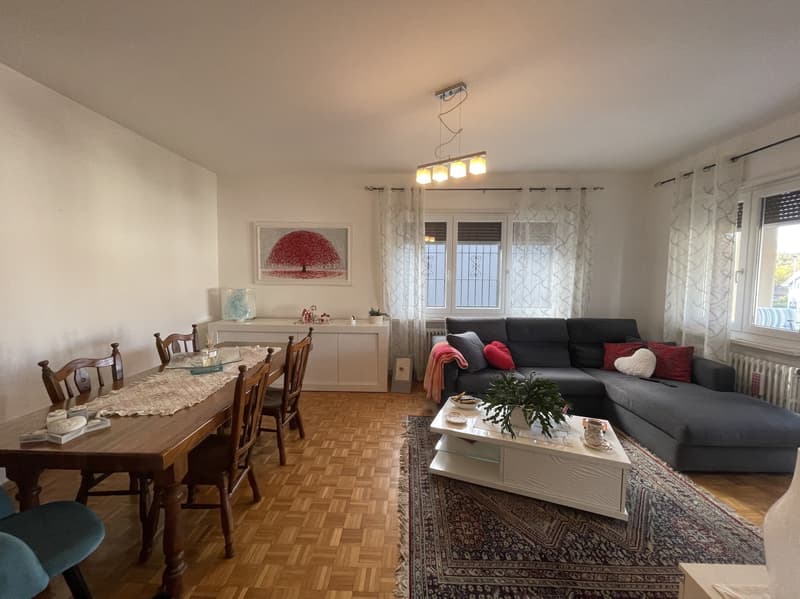 BELLA CASA UNIFAMILIARE 4.5 CON AMPIO GIARDINO (9)