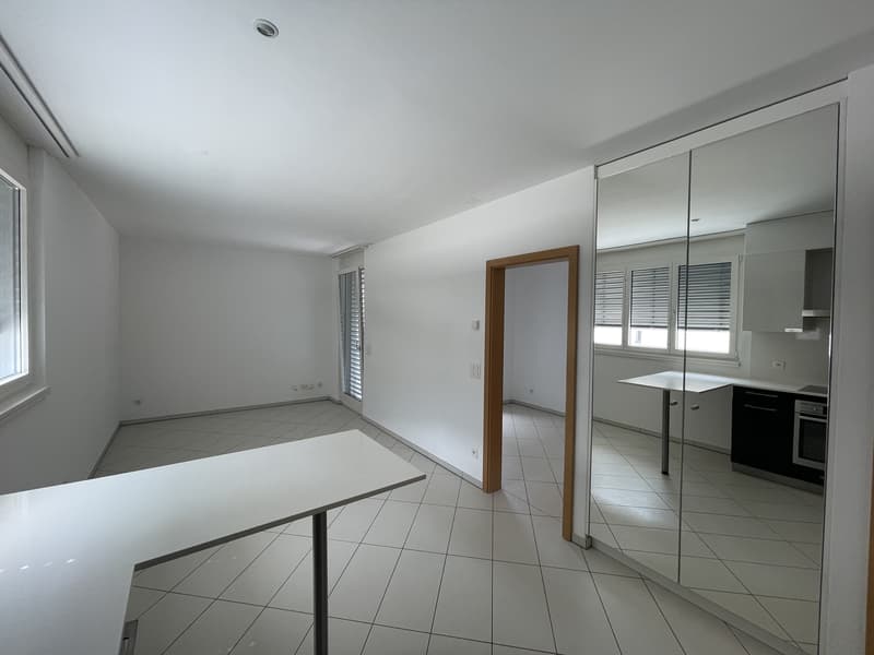 IMPERDIBILE APPARTAMENTO 2.5 IN ZONA CENTRALE (6)
