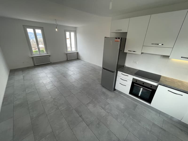 APPARTAMENTI 2.5 E 3.5 COMPLETAMENTE RIATTATI A MORBIO INFER (8)