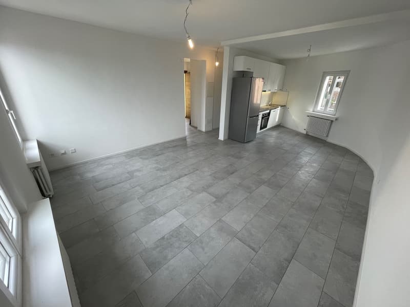 APPARTAMENTI 2.5 E 3.5 COMPLETAMENTE RIATTATI A MORBIO INFER (9)