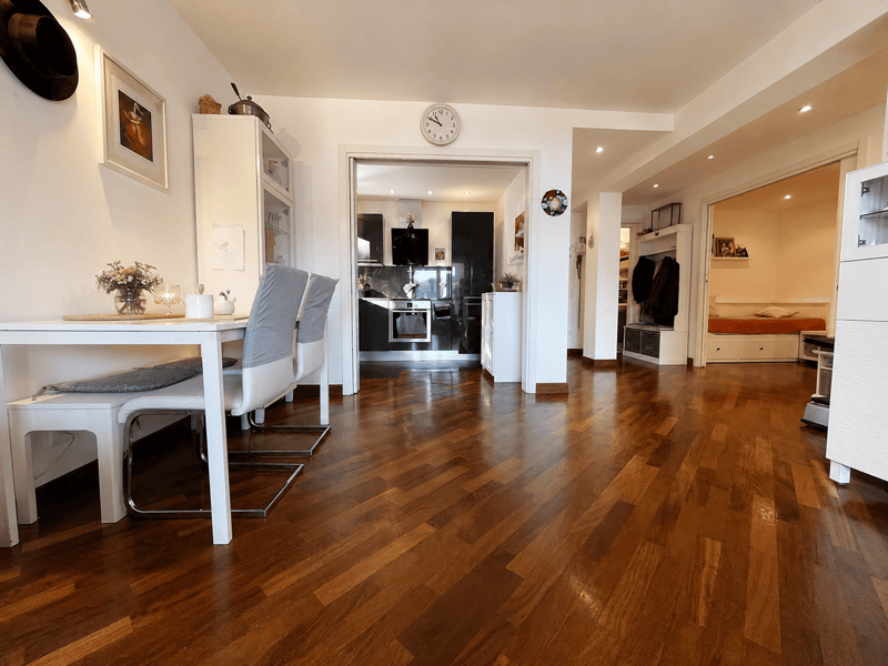 AMPIO APPARTAMENTO 2.5 CON VISTA LAGO E POSTEGGIO ESTERNO (2)