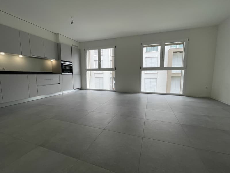 MODERNO ED AMPIO APPARTAMENTO 2.5 CON DUE POSTEGGI INTERNI (5)