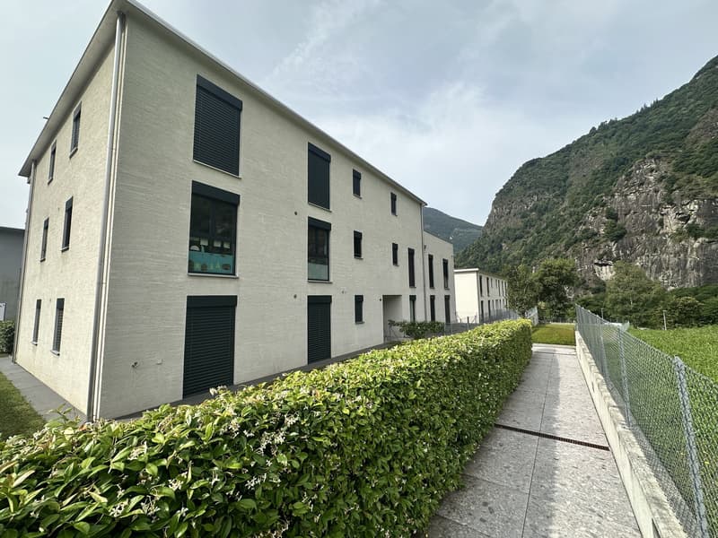 MODERNO E RECENTE APPARTAMENTO 2.5 MAI ABITATO (7)