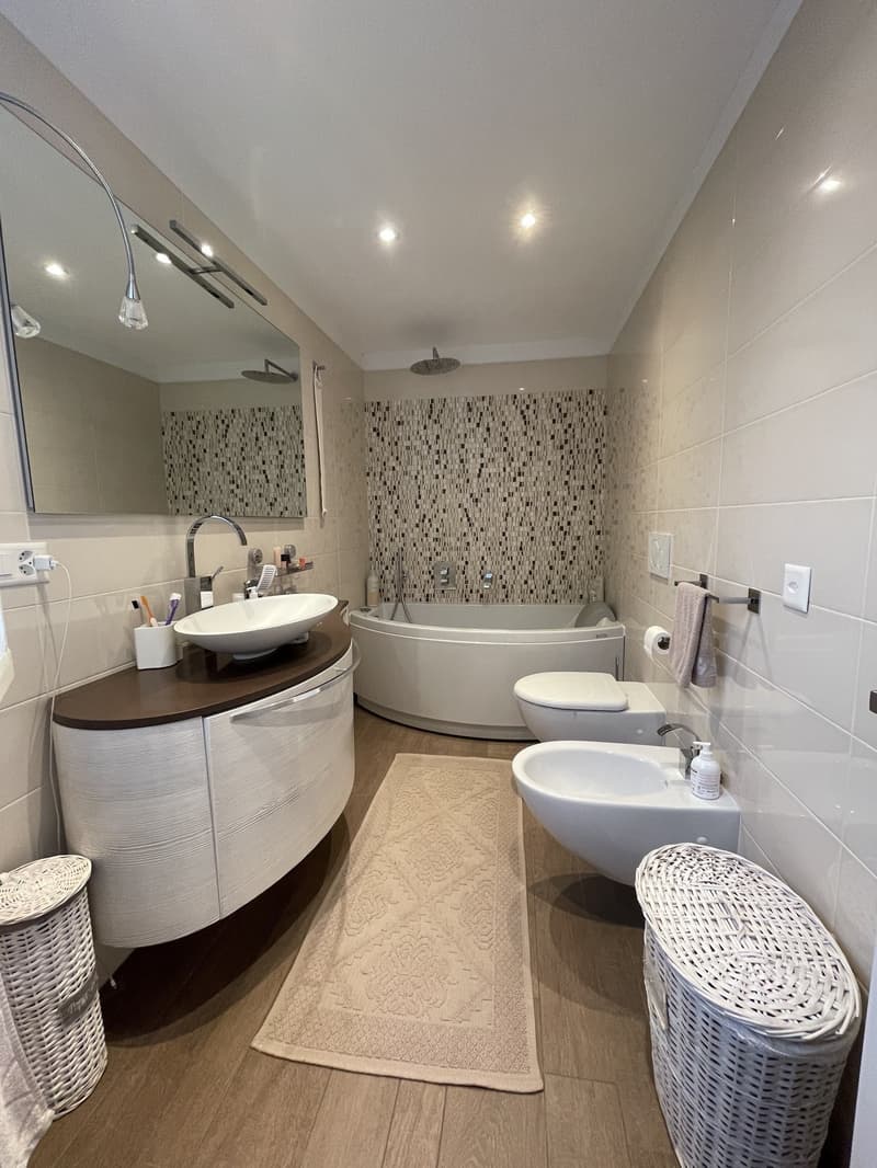 ELEGANTE ED AMPIO APPARTAMENTO 2.5 CON GRANDE POSTEGGIO (9)
