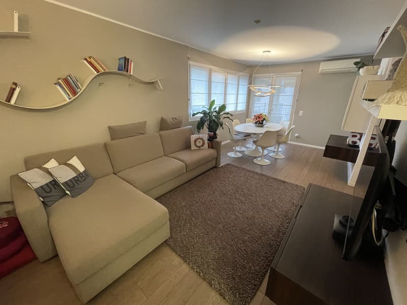 ELEGANTE ED AMPIO APPARTAMENTO 2.5 CON GRANDE POSTEGGIO (3)