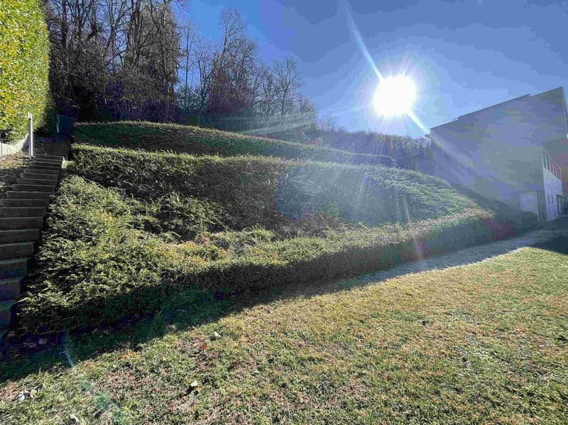 INTERESSANTE TERRENO CON SPLENDIDA VISTA LAGO (10)