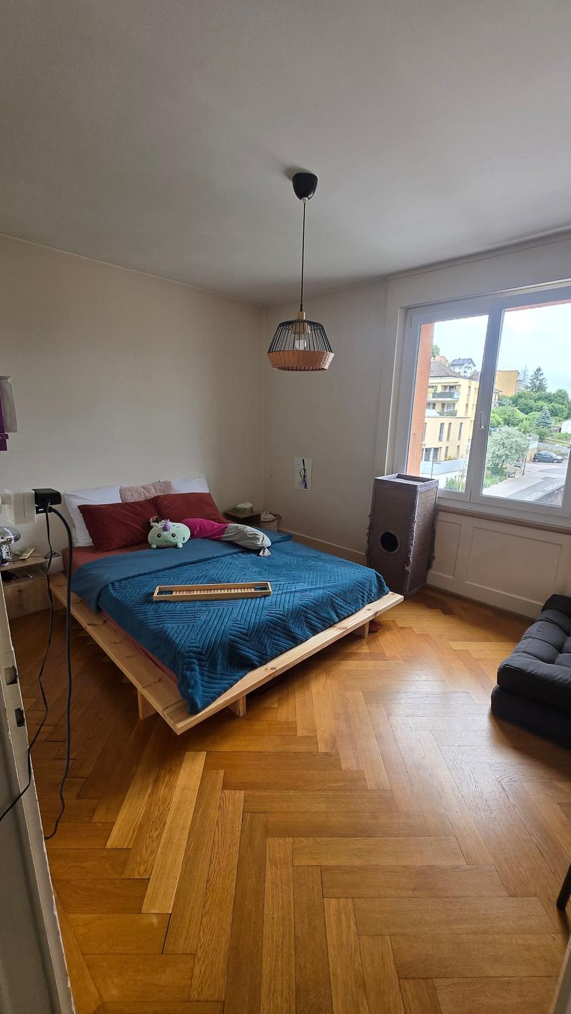 3 pezzi a Neuchâtel – Chemin des Brandards (3)