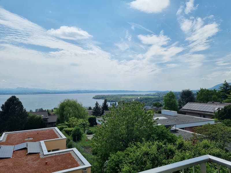 Appartamento luminoso di 4 locali con vista sul lago a Milvignes (1)
