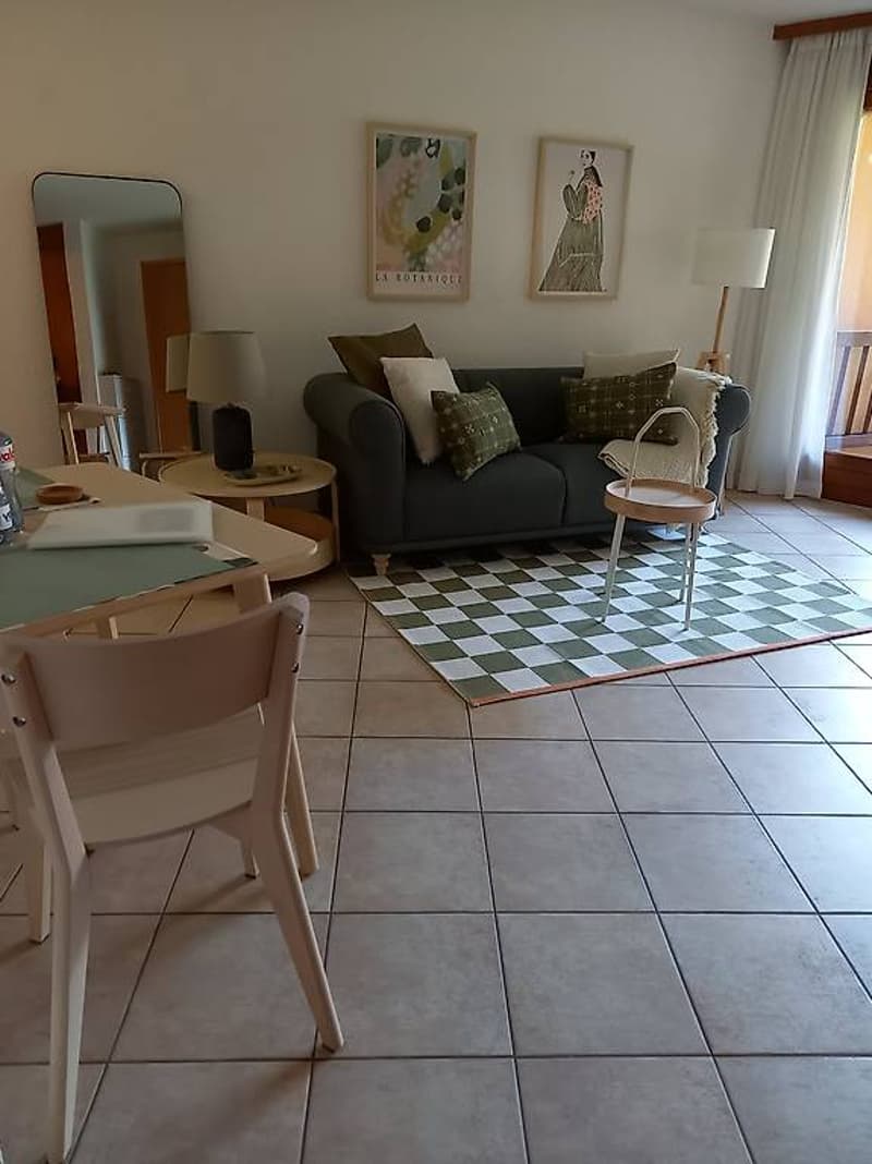grey sofa, tables, chairs, lamp, paintings, mirror, rug