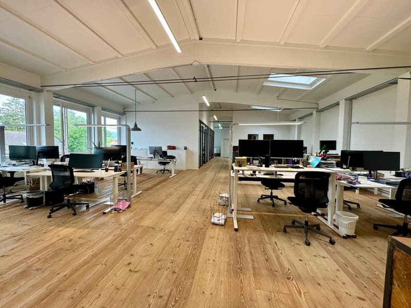 Loft Spazi Ufficio Arredati – 370m2 – Steinhausen (ZG) (4)