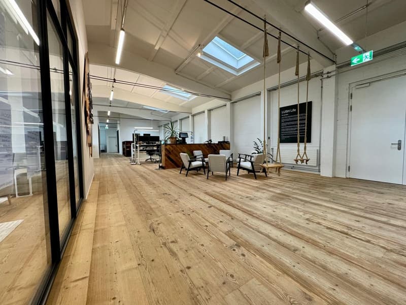 Loft Spazi Ufficio Arredati – 370m2 – Steinhausen (ZG) (3)