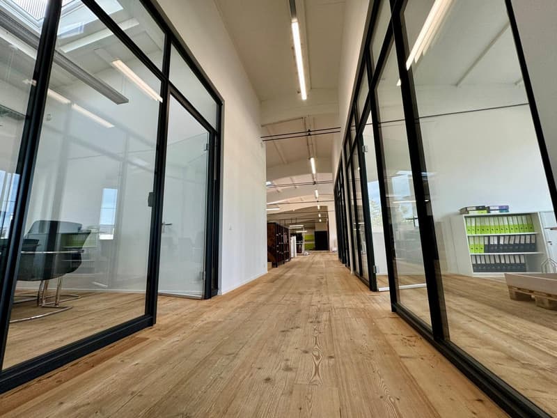 Loft Spazi Ufficio Arredati – 370m2 – Steinhausen (ZG) (6)