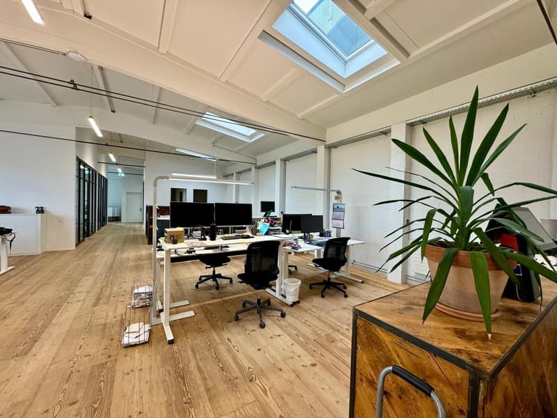 Loft Spazi Ufficio Arredati – 370m2 – Steinhausen (ZG) (5)