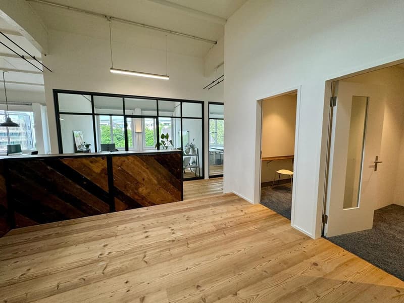 Loft Spazi Ufficio Arredati – 370m2 – Steinhausen (ZG) (8)