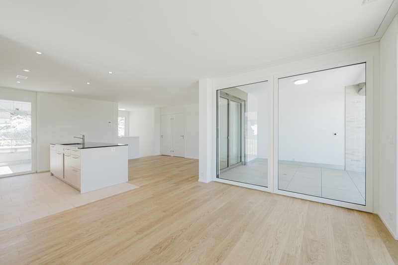 Exklusive 4.5-Zimmer-Maisonette-Wohnung (B23) (3)