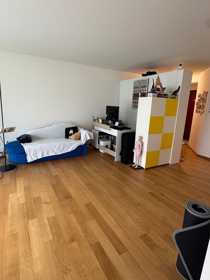 Appartamento luminoso 2.5 locali con posto giardino (2)