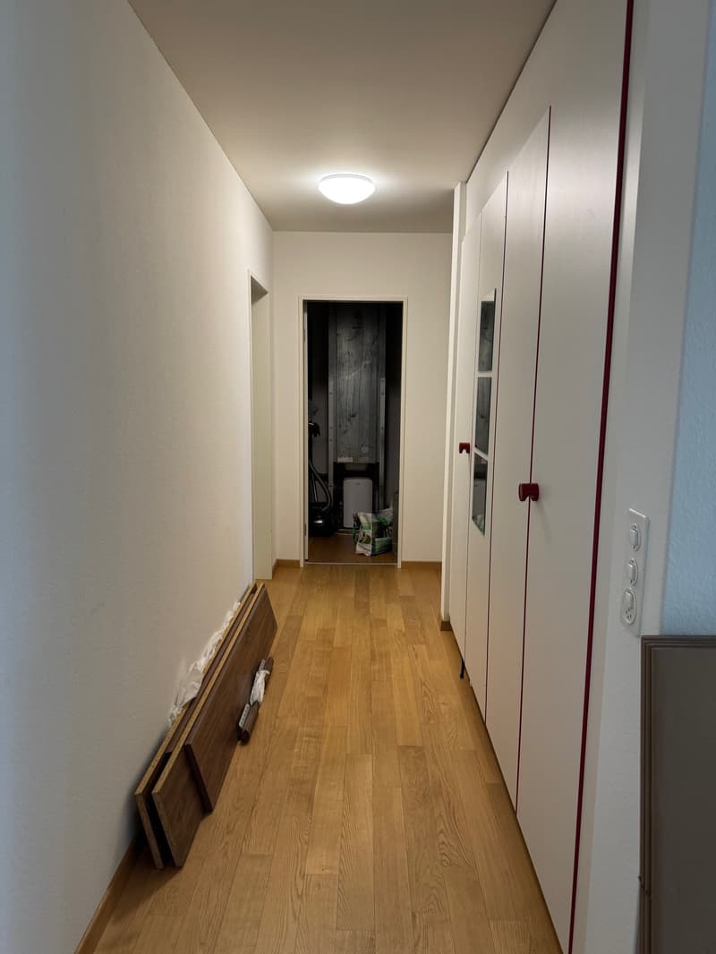 Appartamento luminoso 2.5 locali con posto giardino (4)