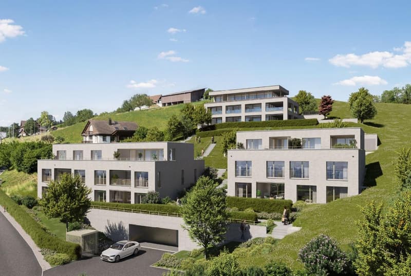luxuriöse 5.5-Zimmer-Maisonette-Wohnung/Haus in Baar-Inwil (1)