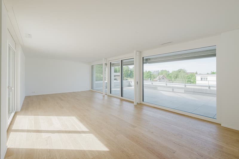 Exklusive 3.5-Zimmer-Attikawohnung mit grosser Terrasse (4)