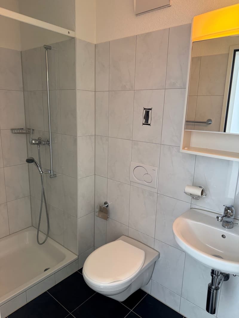 4-5-Zimmer-Gartenwohnung in Baar-Inwil (5)