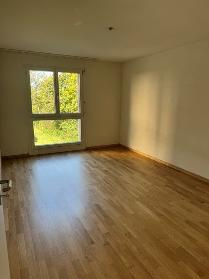 4.5-Zimmer-Gartenwohnung in Baar-Inwil (5)