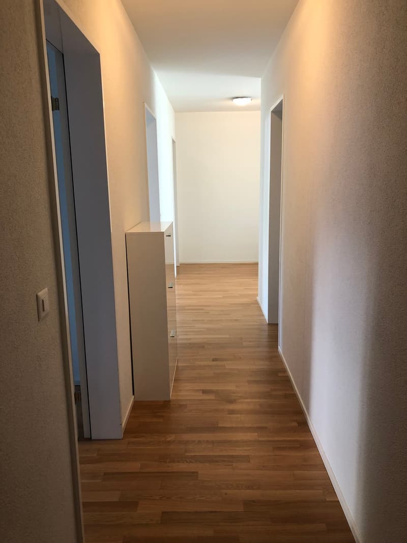 4.5-Zimmer-Gartenwohnung (4)