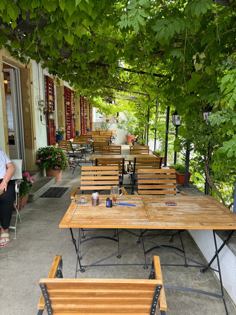 Covered seating area with tables and chairs, grapevines overhead, potted plants, entrance from the left