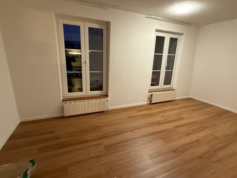 Charmante 4.5 Zimmer-Wohnung in Walperswil - frisch renoviert (2)