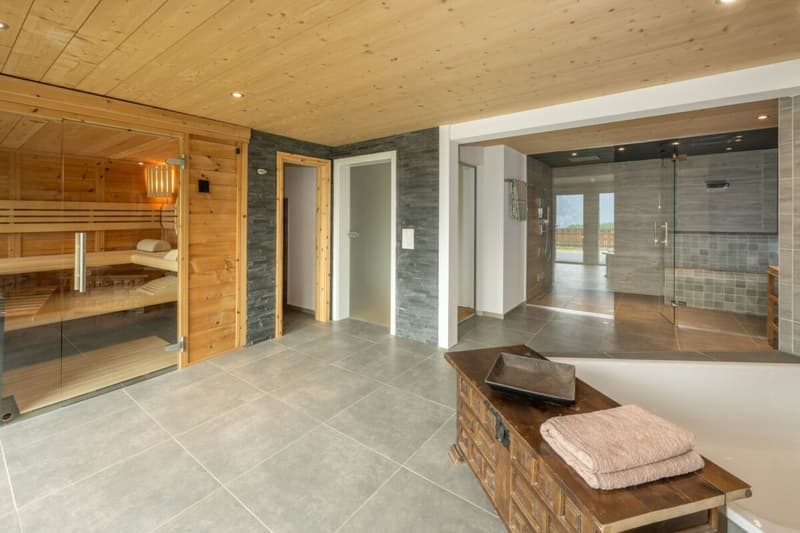 Top Swiss Alpine Chalet - Wallis Alps - Second Home (21)