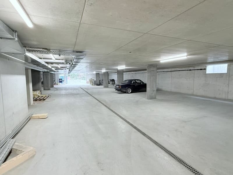Unique construction project with alpine views in Brig - 9 exclusive residential units! (10)