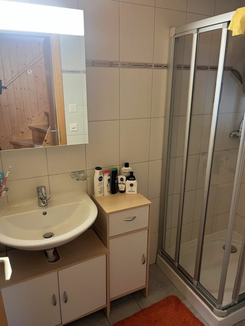 Cozy Chalet in Ergisch (12)