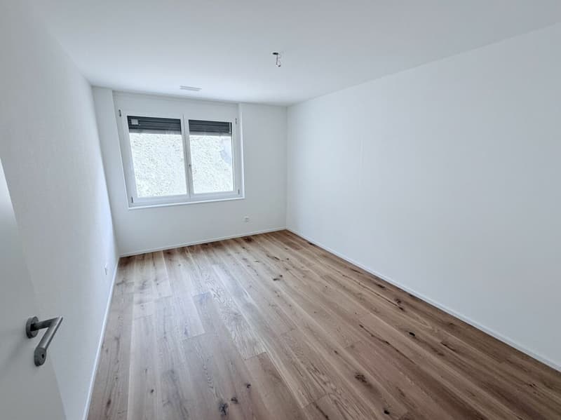 Unique construction project with alpine views in Brig - 9 exclusive residential units! (7)