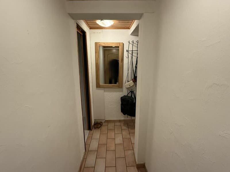 Charmante Wohnung mit schönen Matterhornblick - primary residence (3)