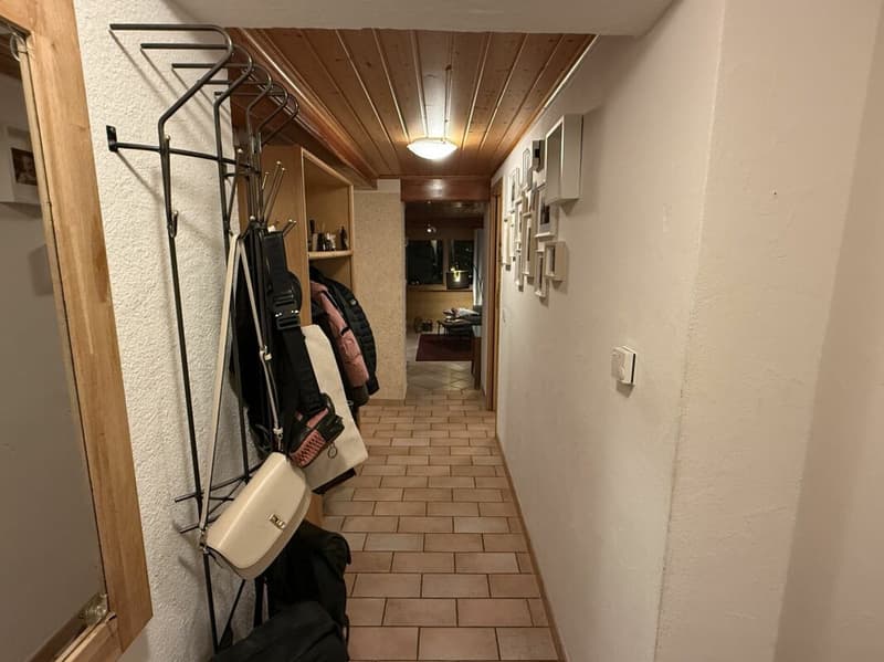 Charmante Wohnung mit schönen Matterhornblick - primary residence (4)
