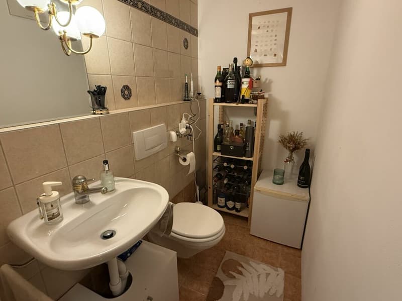 Charmante Wohnung mit schönen Matterhornblick - primary residence (13)